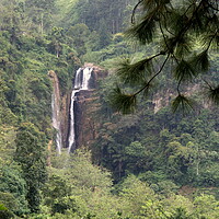 Buy canvas prints of Rain forest waterfall Sri Lanka by Ian Turnell
