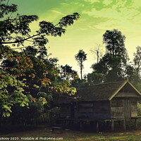 Buy canvas prints of cabin house on the edge of the jungle by John Lusikooy