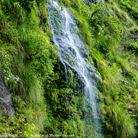 Buy canvas prints of A large waterfall in a forest by Sanjeev Thapa Magar
