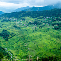 Buy canvas prints of Landscape of greenery filed by Sanjeev Thapa Magar