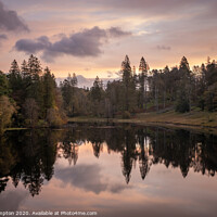 Buy canvas prints of Tarn Hows Sunrise by Paul Compton
