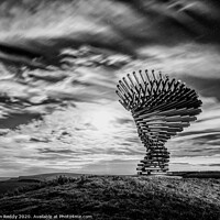 Buy canvas prints of Singing Ringing Tree, Burnley by Iain McLeod