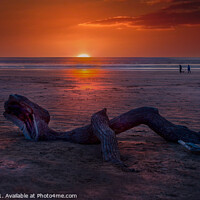 Buy canvas prints of Driftwood on Berrow Beach by Cliff Kinch