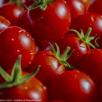 Buy canvas prints of Fresh tomatoes by Cliff Kinch