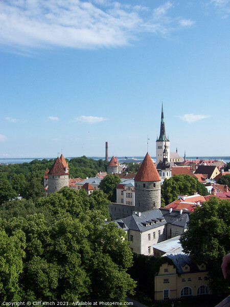 Tallinn Estonia Picture Board by Cliff Kinch