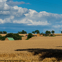 Buy canvas prints of Serene Summer Wheat Field by Cliff Kinch