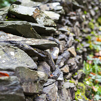 Buy canvas prints of Traditional Cumbrian wall by Cliff Kinch