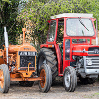 Buy canvas prints of Old tractors by Cliff Kinch