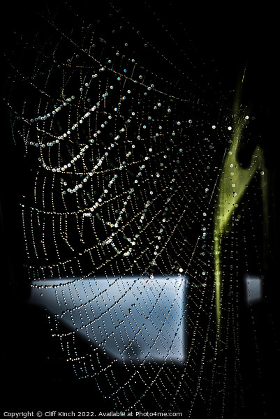 Dewdrops clinging to a cobweb Picture Board by Cliff Kinch