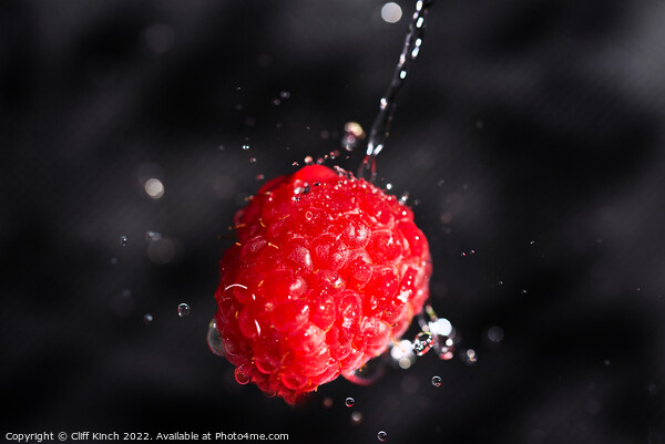 Raspberry drenched Picture Board by Cliff Kinch