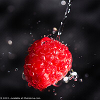 Buy canvas prints of Raspberry drenched by Cliff Kinch