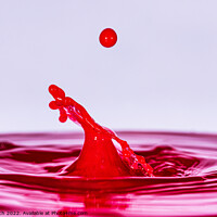 Buy canvas prints of Water drop - Pink by Cliff Kinch