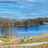 Buy canvas prints of Tarn Hows panorama by Cliff Kinch