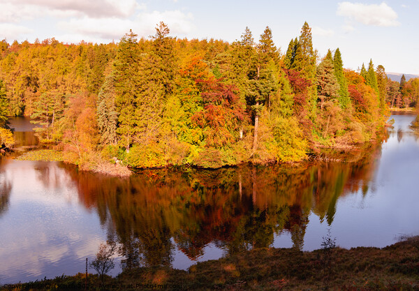Tarn Hows Autumn Picture Board by Cliff Kinch