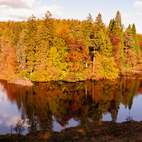 Buy canvas prints of Tarn Hows Autumn by Cliff Kinch