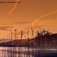 Buy canvas prints of Serene Sunset over Windermere by Cliff Kinch