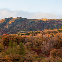 Buy canvas prints of Yewdale Fells Panorama by Cliff Kinch