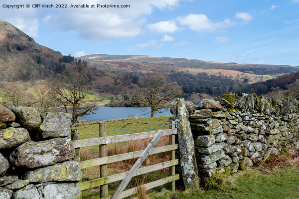 View over Rydal Water Picture Board by Cliff Kinch