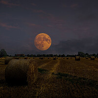 Buy canvas prints of Harvest moon by Cliff Kinch