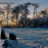 Buy canvas prints of Rollright Stones in Winter by Cliff Kinch