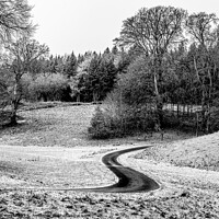 Buy canvas prints of Winter Trail by Cliff Kinch