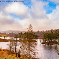Buy canvas prints of Autumn at Tarn Hows by Cliff Kinch