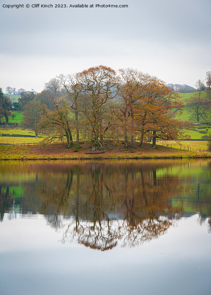 Autumn at Esthwaite Picture Board by Cliff Kinch