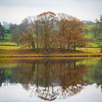 Buy canvas prints of Autumn at Esthwaite by Cliff Kinch