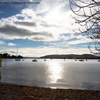 Buy canvas prints of Lake Windermere from Borrans Park by Cliff Kinch