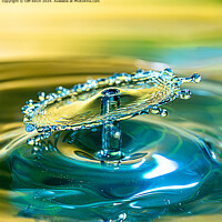 Buy canvas prints of Water drop collision by Cliff Kinch