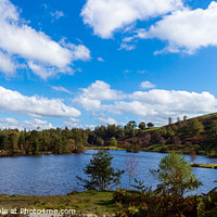 Buy canvas prints of Tarn Hows Lake District by Cliff Kinch
