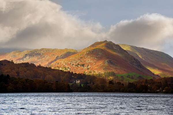 Across Grasmere to Helm Crag Picture Board by Cliff Kinch