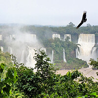 Buy canvas prints of Iguazu  Falls - Brazil  by Mervyn Tyndall