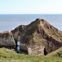 Buy canvas prints of Flamborough Yorkshire Drinking Dinosaur  by Liann Whorwood