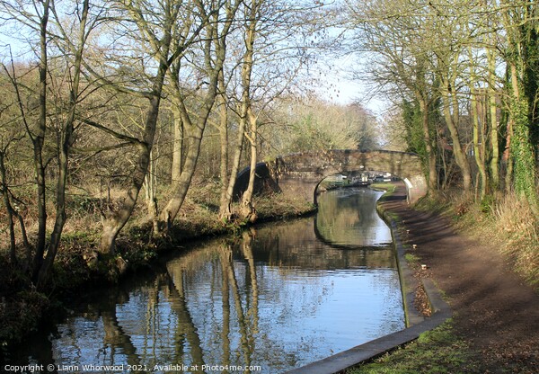 Coventry canal Atherstone  Picture Board by Liann Whorwood