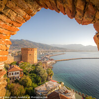 Buy canvas prints of Alanya old castle early in the morning by Alexander Volkov