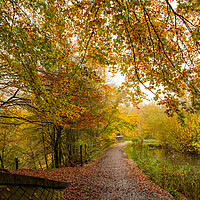 Buy canvas prints of Autumn at Daisy Nook  by Vicky Outen