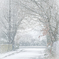 Buy canvas prints of Snowy Avenue in Alderley Edge by Vicky Outen