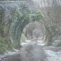 Buy canvas prints of A snowy day along a path with trees  by Vicky Outen