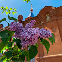 Buy canvas prints of lilac flower, against the blue sky and the cross of the church by Vitalii Kryvolapov