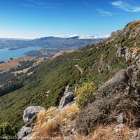 Buy canvas prints of Akaroa Harbour by Julie Hartwig
