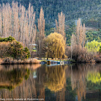 Buy canvas prints of Derwent River Reflections by Julie Hartwig