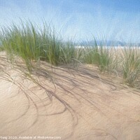Buy canvas prints of Dune Grass by Julie Hartwig
