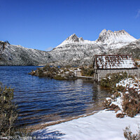 Buy canvas prints of Cradle Mountain by Julie Hartwig