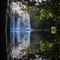 Buy canvas prints of Whangarei Falls by Julie Hartwig