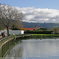 Buy canvas prints of Lake Rotorua by Julie Hartwig