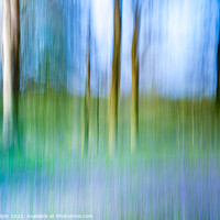 Buy canvas prints of Bluebell wood abstract  by Gary Holpin