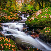 Buy canvas prints of Autumn colours on the River Avon, Dartmoor by Gary Holpin