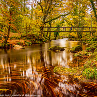 Buy canvas prints of Dartmoor autumn colours by Gary Holpin