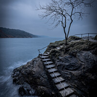 Buy canvas prints of Moody day at the Babbacombe tree by Gary Holpin